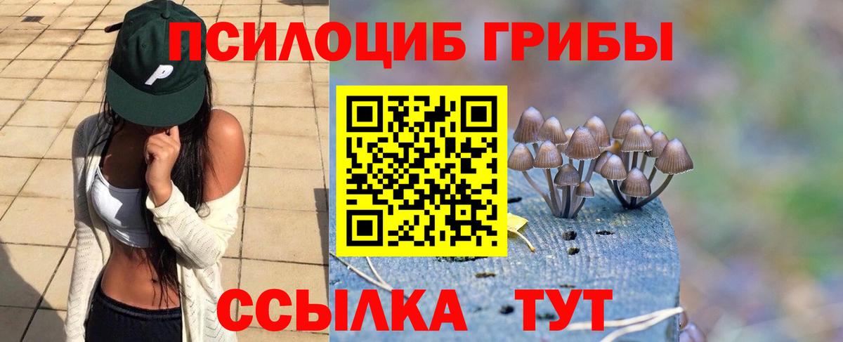 Псилоцибиновые грибы ЛСД Южно-Сахалинск